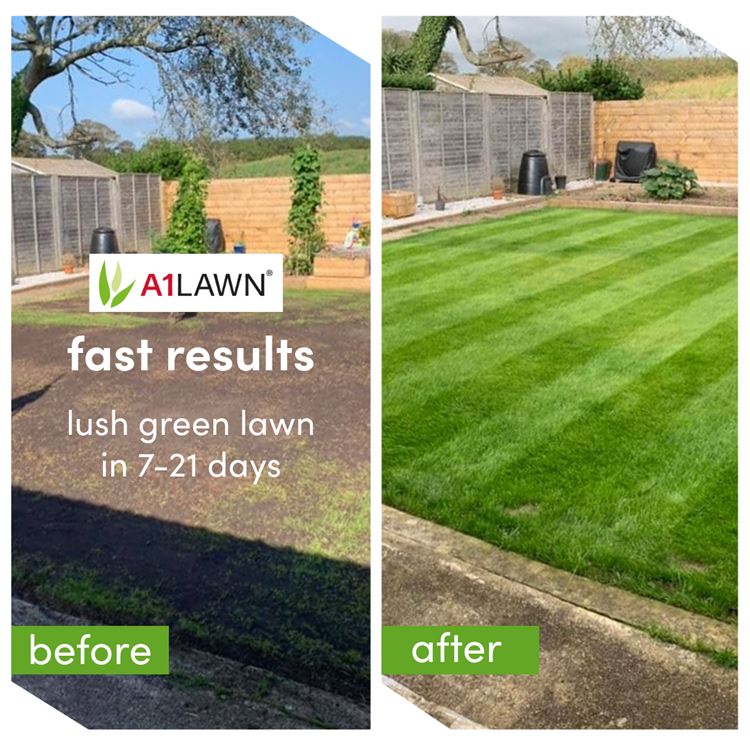 A1 Lawn Super Economy Grass Seed 5KG